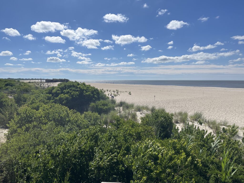 a beach with trees and bushes (MyCoast AI)