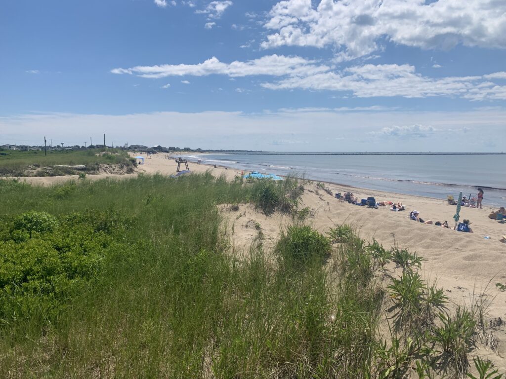 a beach with people and grass (MyCoast AI)