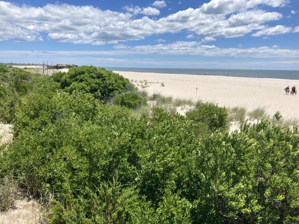 a group of people walking on a beach (MyCoast AI)