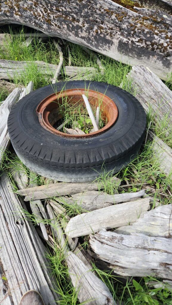 a tire on a pile of wood (MyCoast AI)