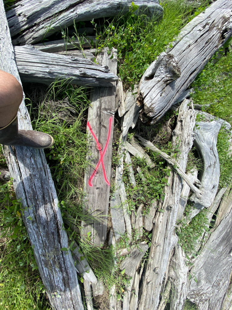 a red rope tied to a tree (MyCoast AI)