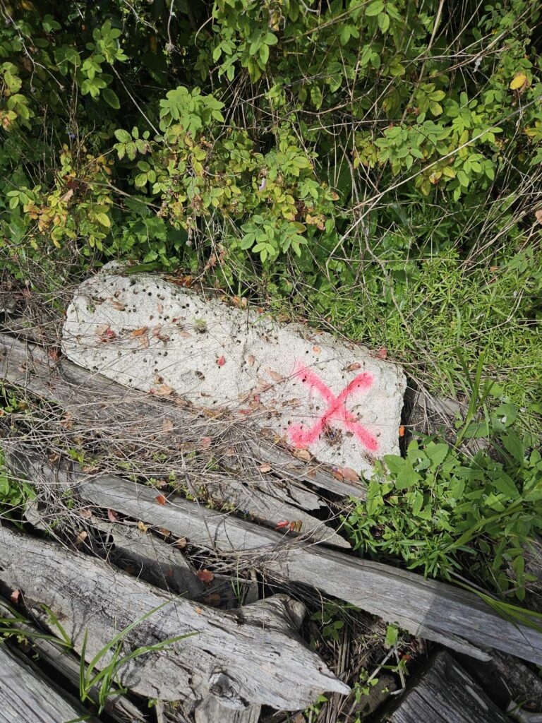 a broken piece of wood (MyCoast AI)