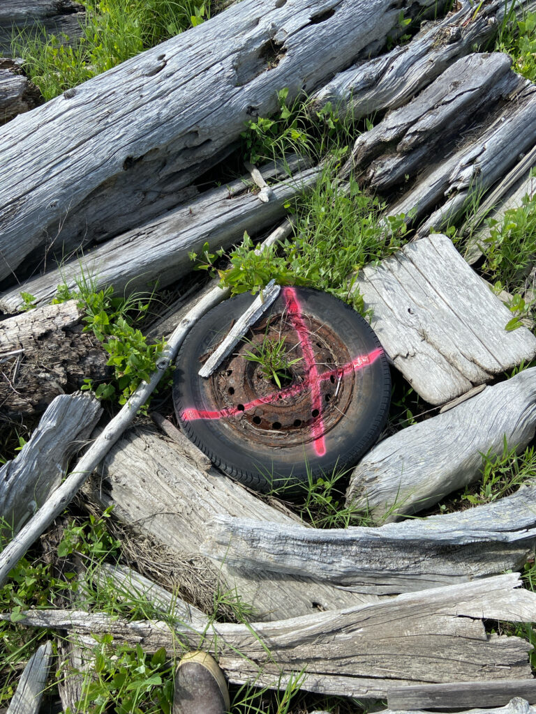 a bicycle wheel on a log (MyCoast AI)