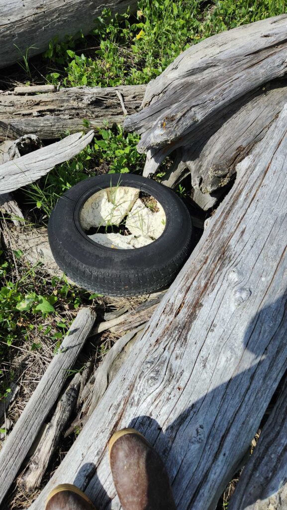 a tire on a log (MyCoast AI)