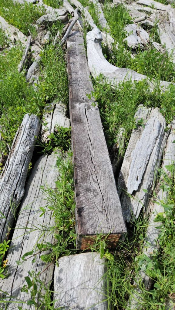 a wooden bridge over a stream (MyCoast AI)