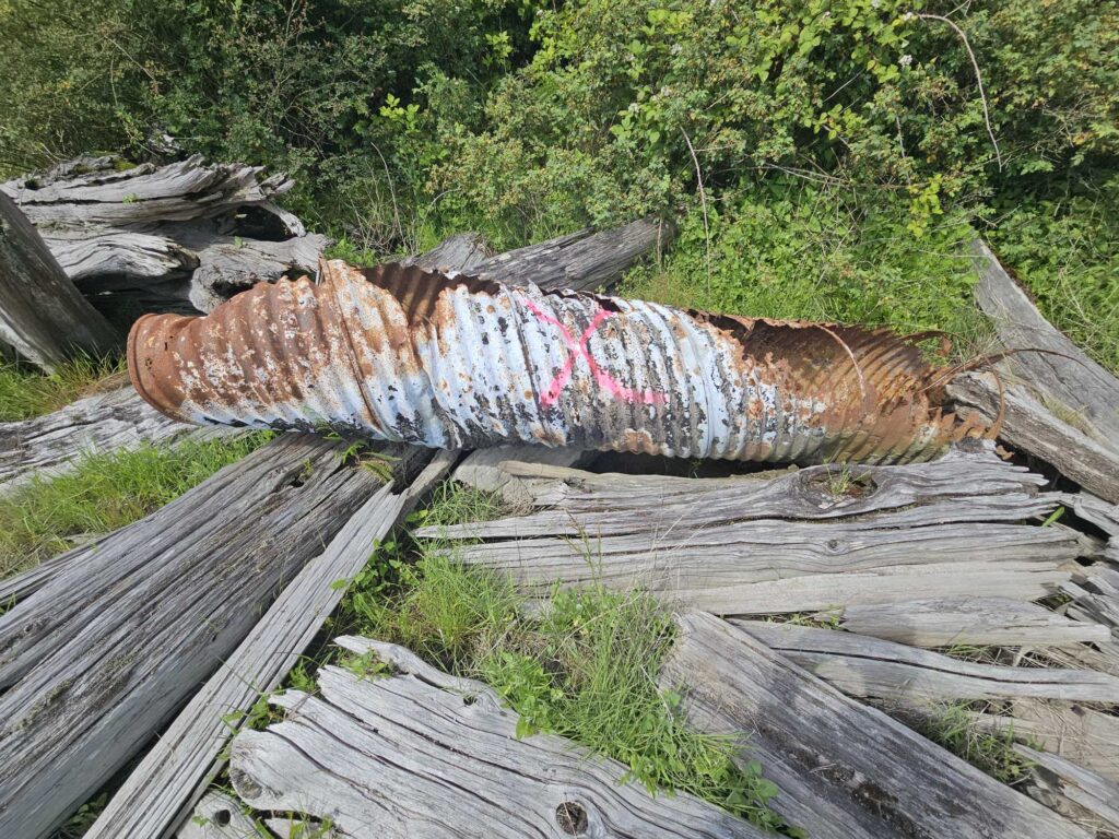 a large log with a red and white striped blanket on it (MyCoast AI)