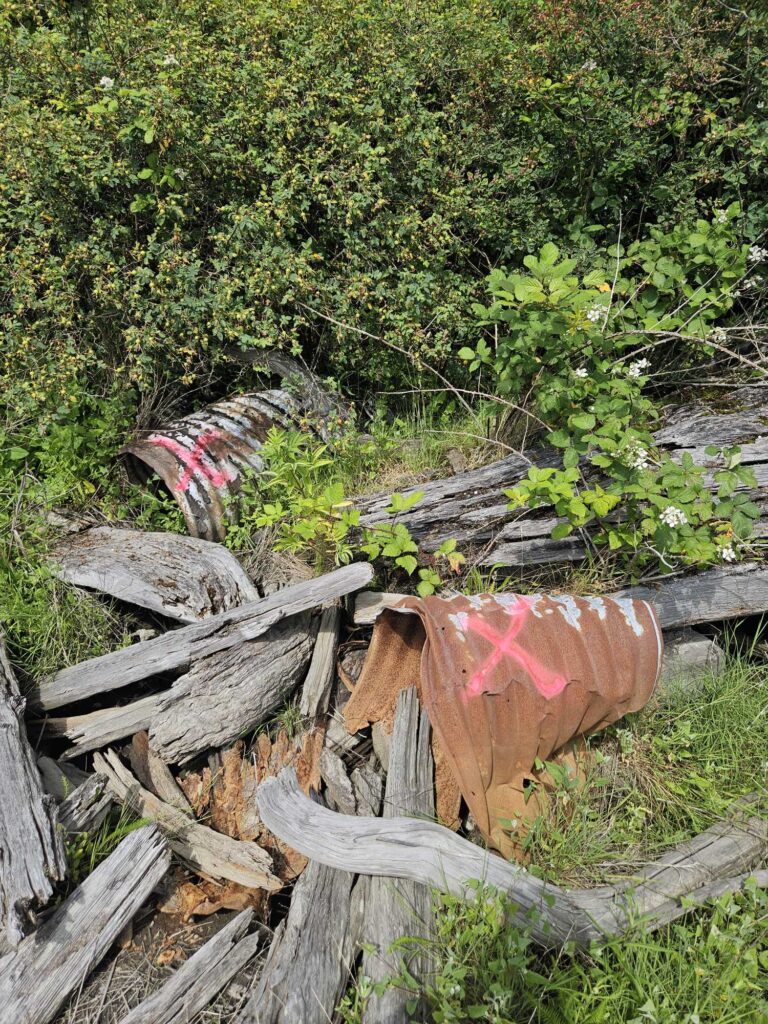 a trash can sits on top of a pile of wood (MyCoast AI)