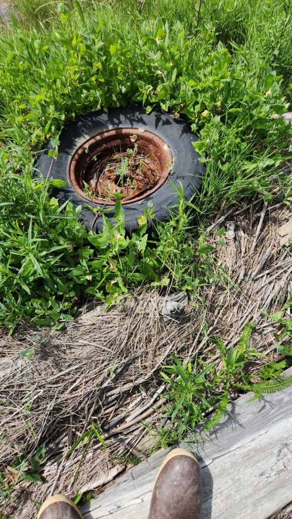 a wheelbarrow full of dirt (MyCoast AI)