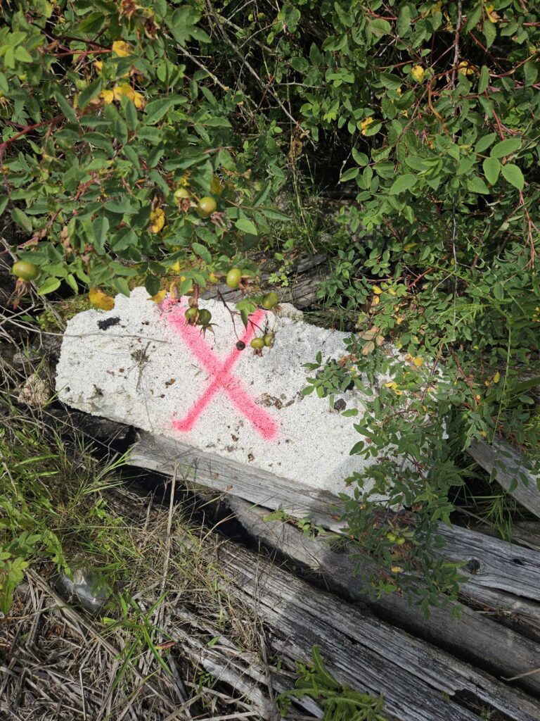 a white stone with a cross on it surrounded by plants (MyCoast AI)
