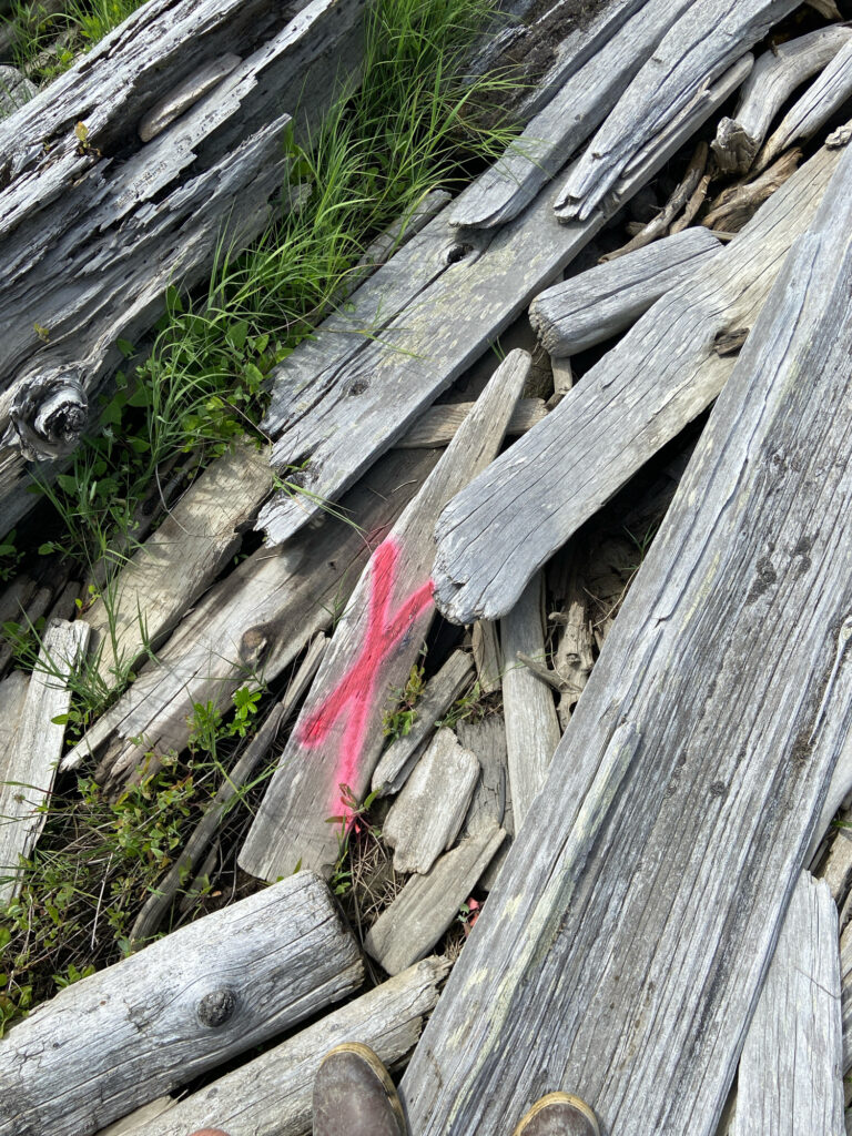 a red and white object on a wooden fence (MyCoast AI)