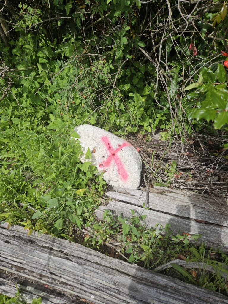 a white bag on a log (MyCoast AI)
