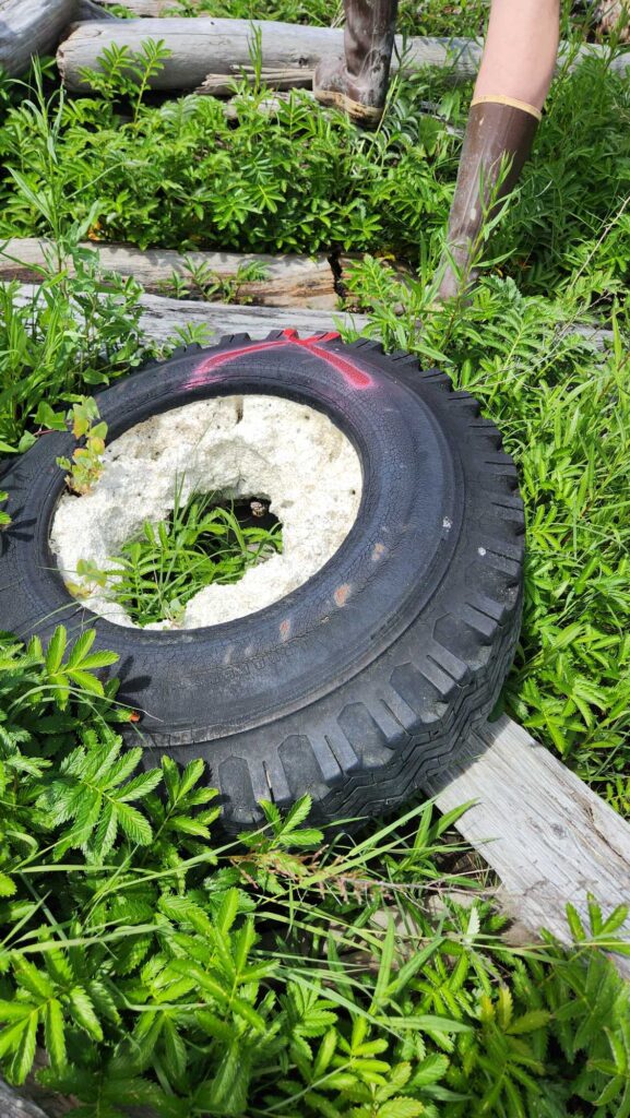 a tire in the grass (MyCoast AI)