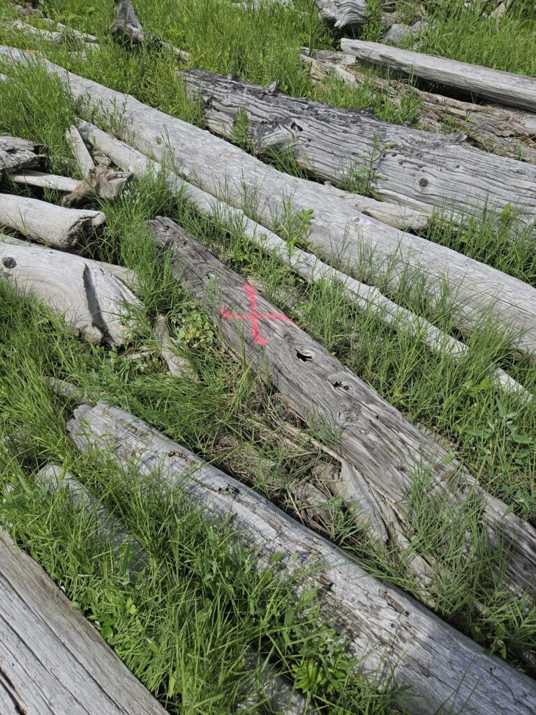 a stone wall with a red line (MyCoast AI)