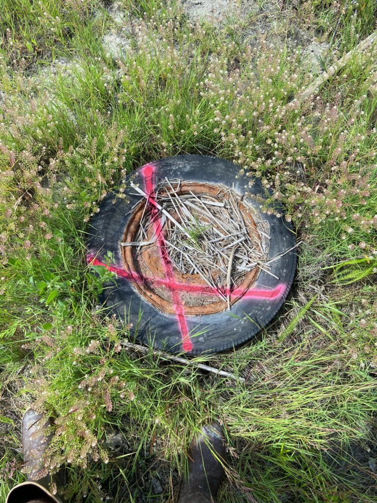 a tire in the grass (MyCoast AI)
