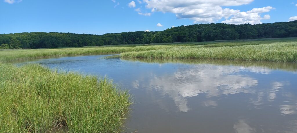 a body of water with grass and trees around it (MyCoast AI)