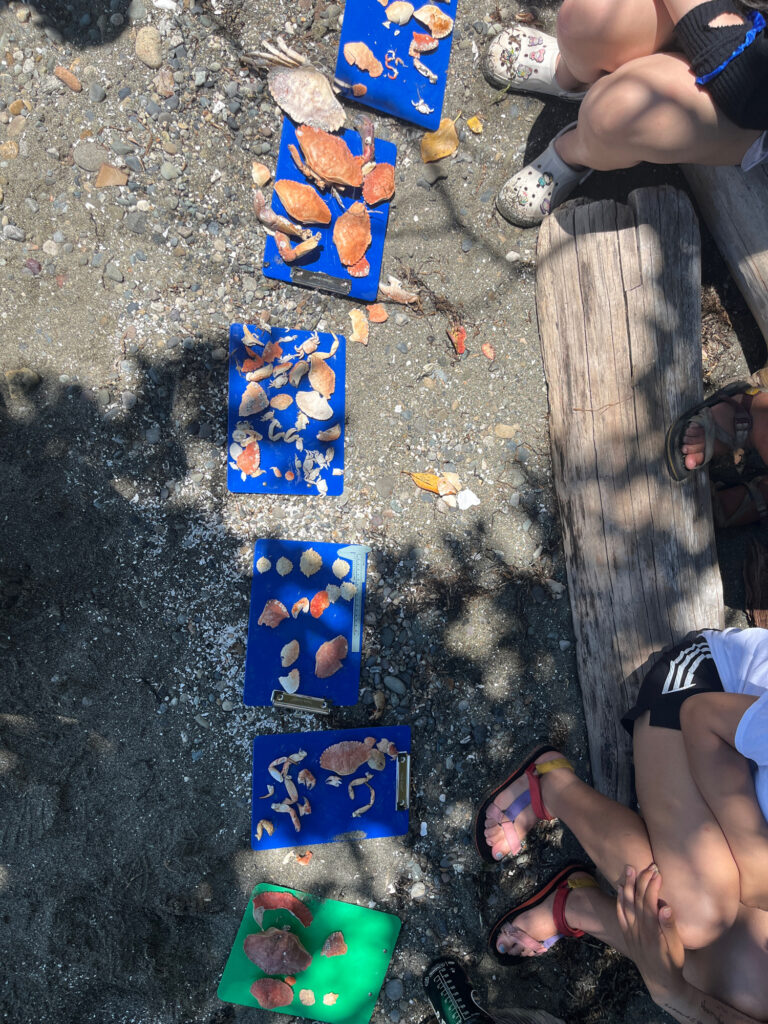 people sitting on the ground (MyCoast AI)