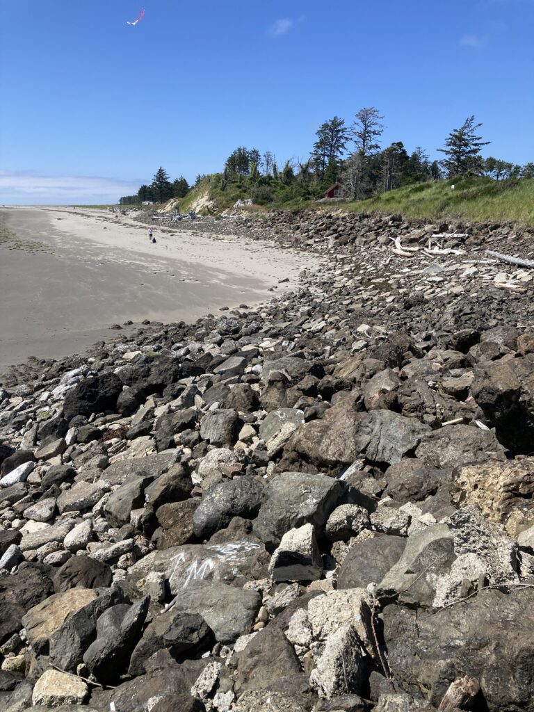 a rocky beach with trees and a hill in the background (MyCoast AI)