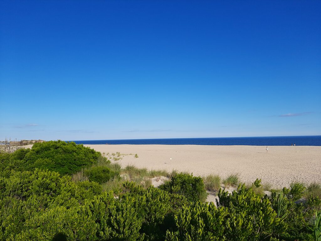 a sandy beach with bushes and trees (MyCoast AI)