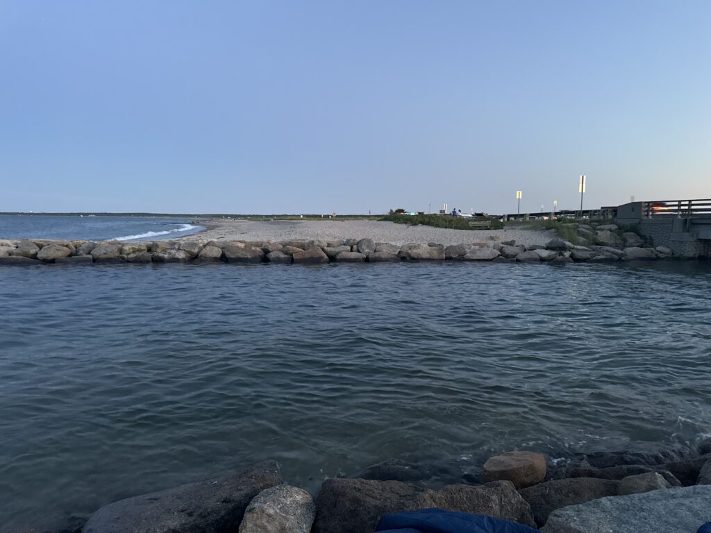 a rocky beach with a body of water in the background (MyCoast AI)