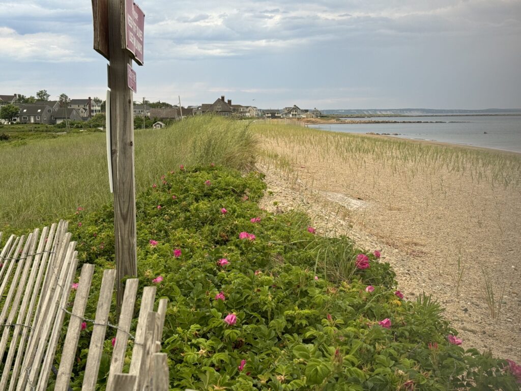a wooden fence next to a beach (MyCoast AI)