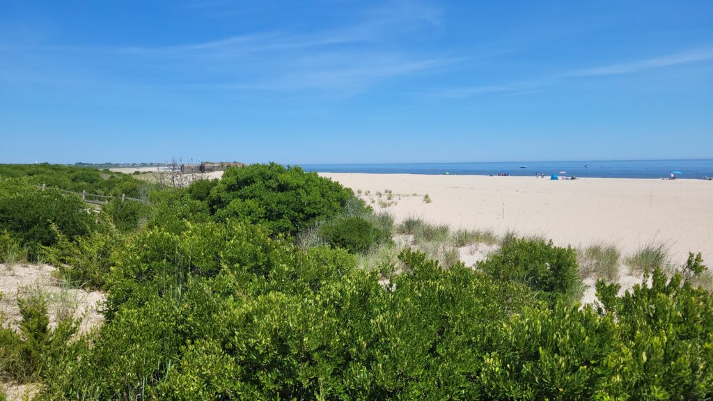 a beach with trees and bushes (MyCoast AI)