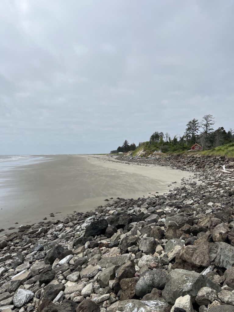 a rocky beach with trees and a body of water in the background (MyCoast AI)
