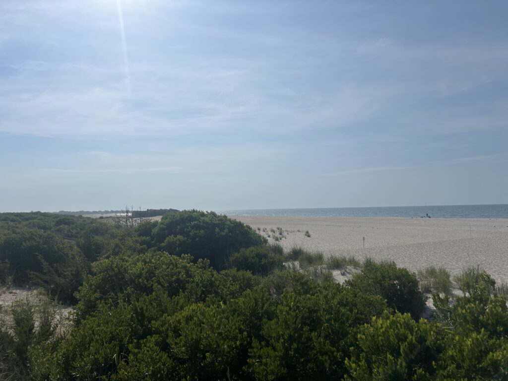 a beach with trees and a body of water in the background (MyCoast AI)