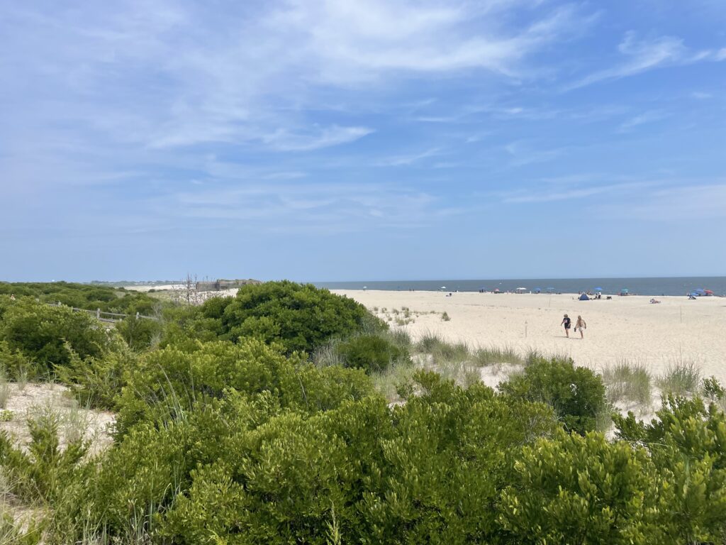a group of people walking on a beach (MyCoast AI)