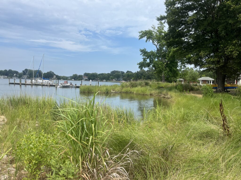 a body of water with boats in it and grass around it (MyCoast AI)