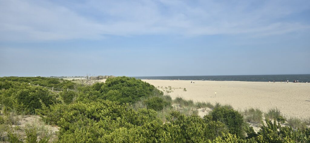 a sandy beach with bushes and trees (MyCoast AI)