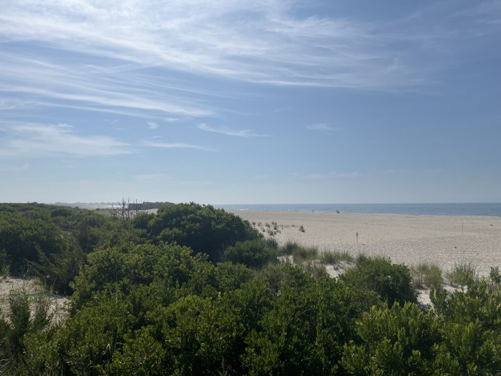 a landscape with trees and a body of water in the background (MyCoast AI)