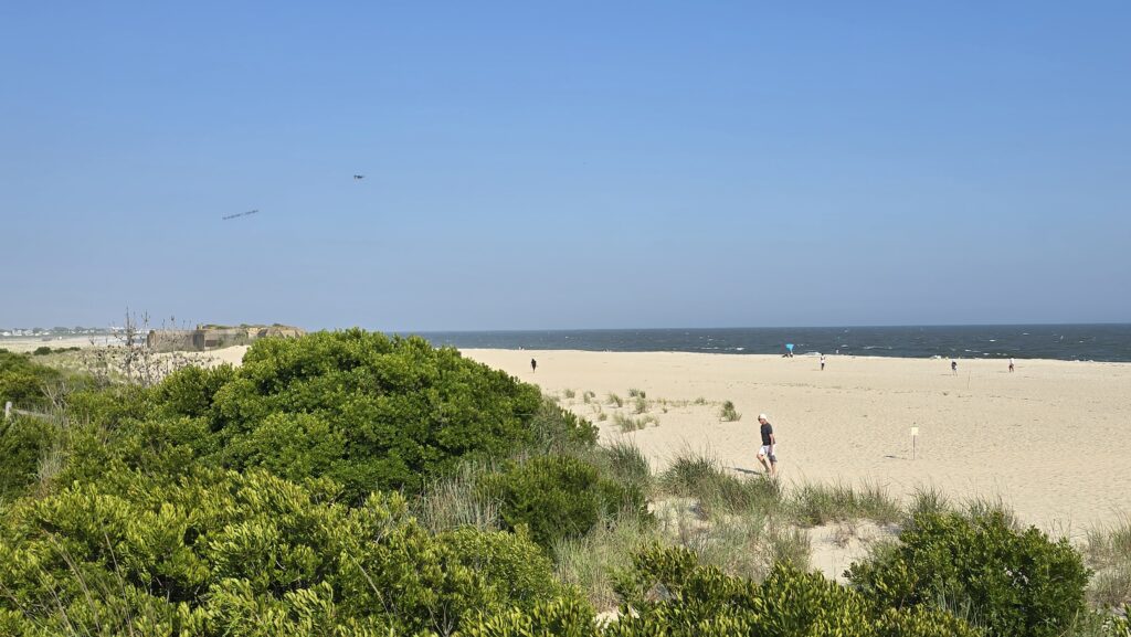 a person walking on a beach (MyCoast AI)