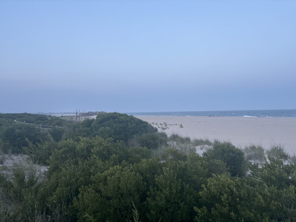 a beach with trees and bushes (MyCoast AI)