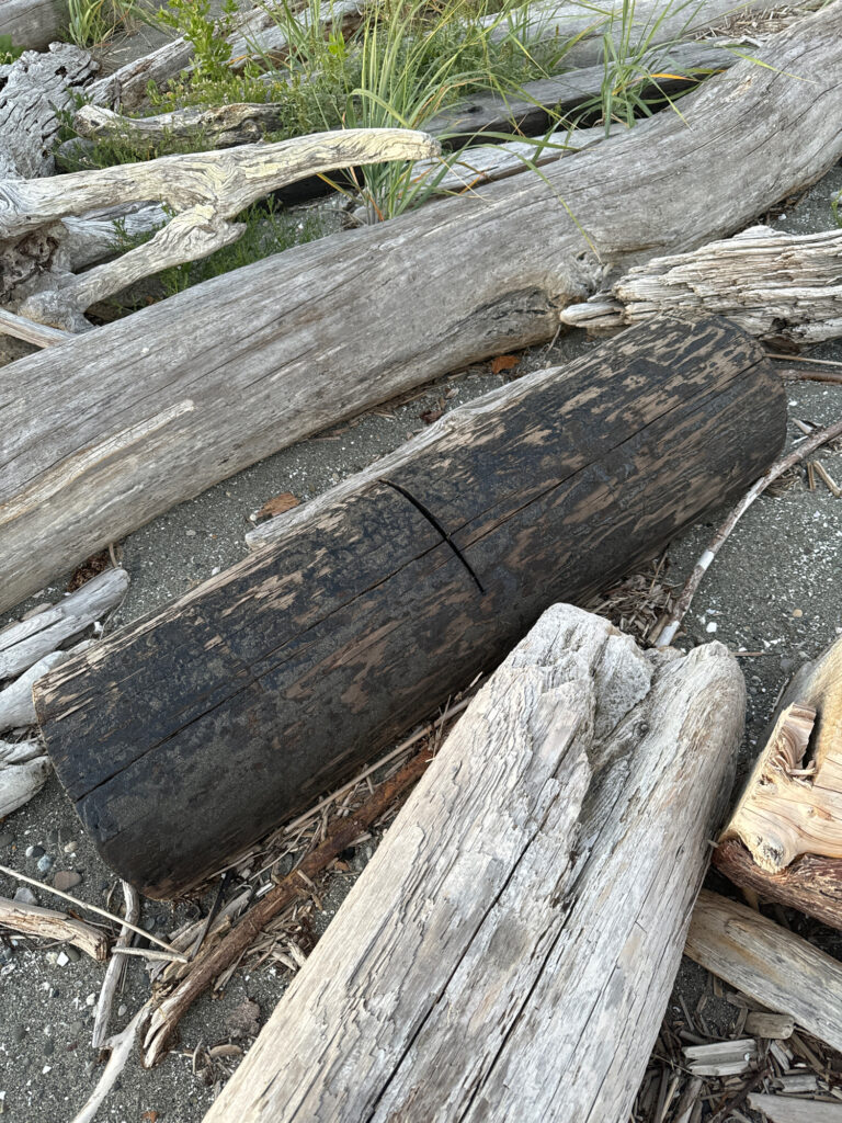 a group of wood planks (MyCoast AI)