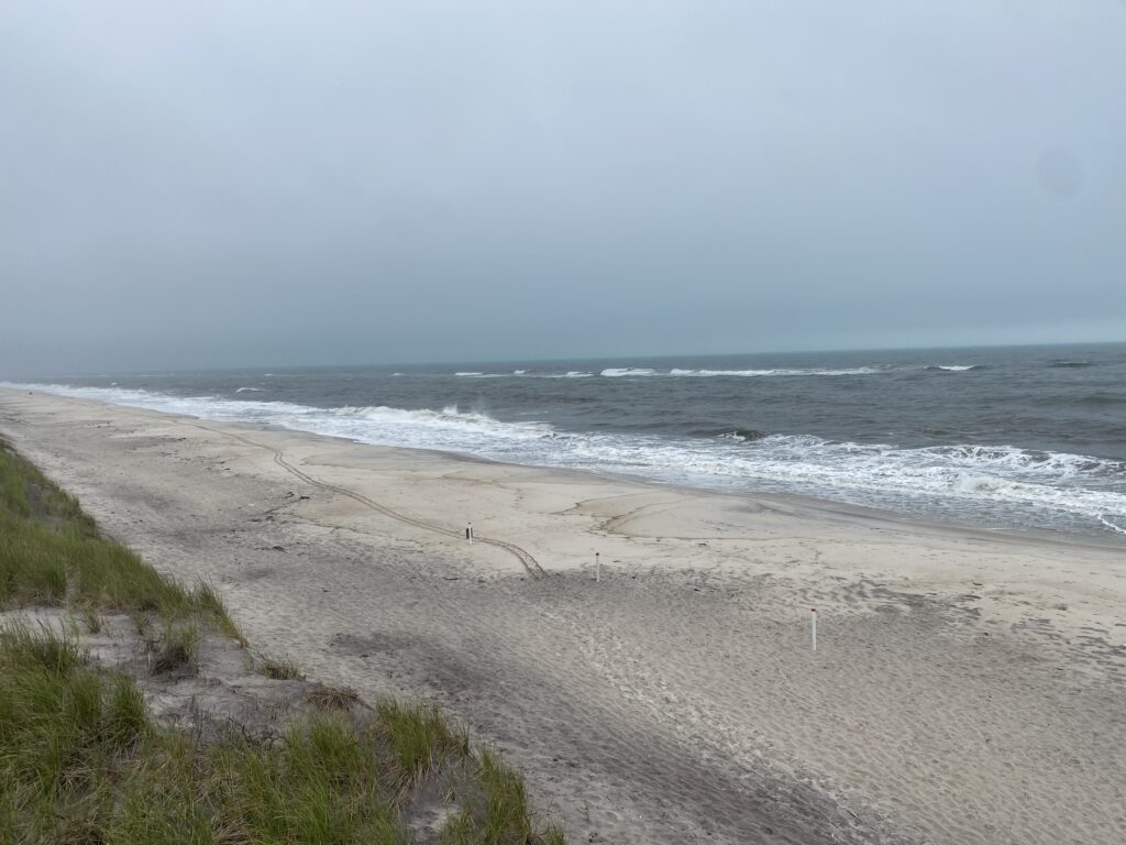 a beach with waves crashing on it (MyCoast AI)