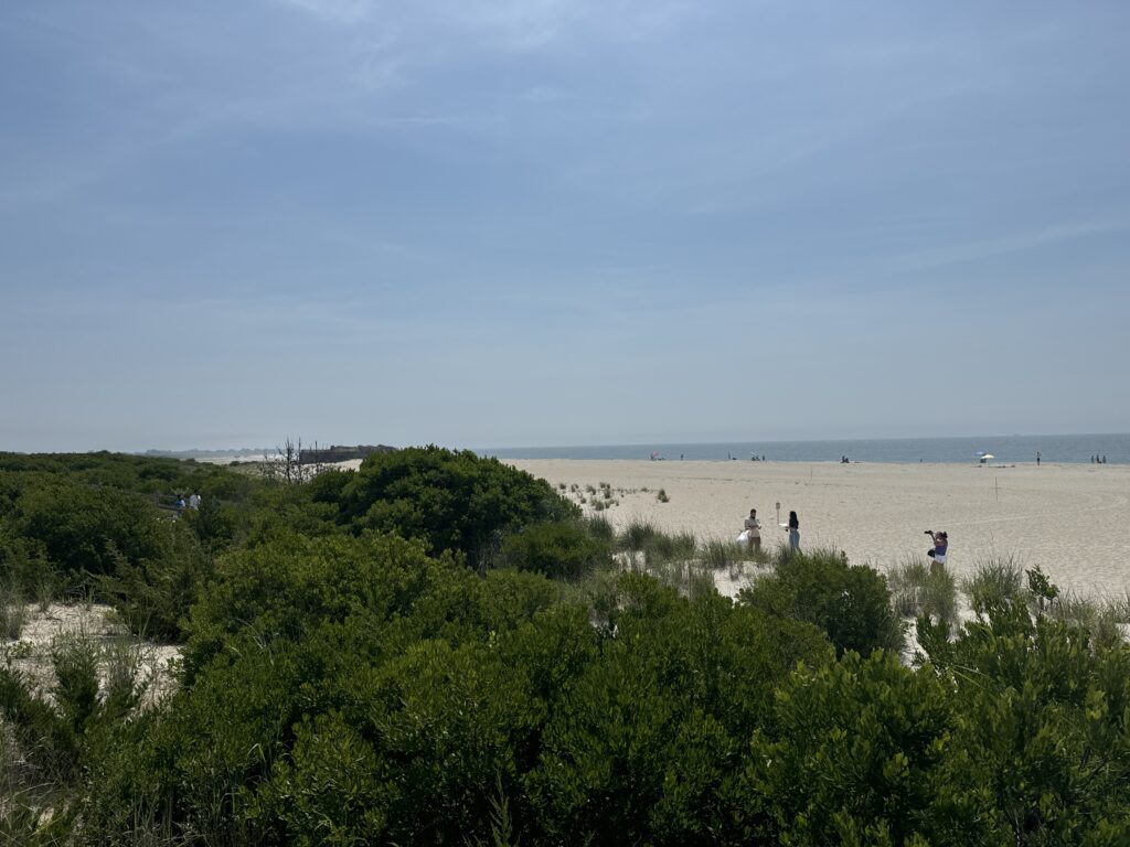 a group of people walking on a beach (MyCoast AI)