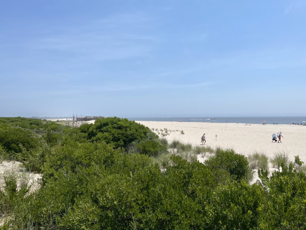 a group of people walking on a beach (MyCoast AI)