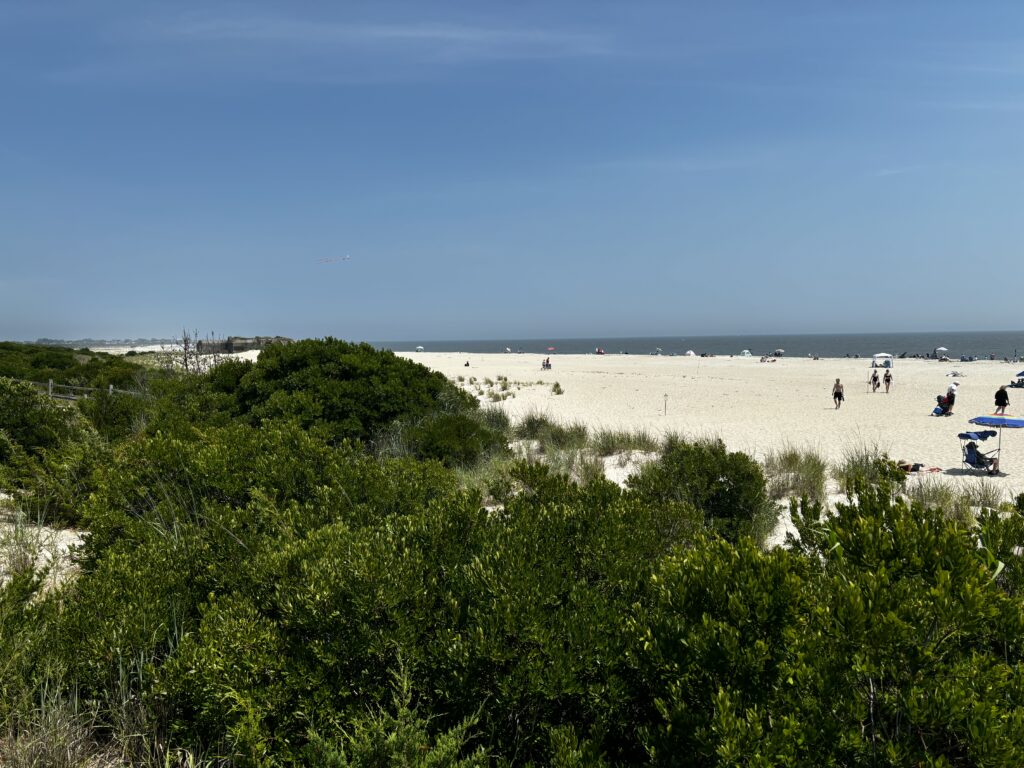 a beach with people and trees (MyCoast AI)