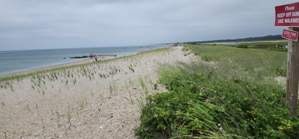 a beach with people on it (MyCoast AI)