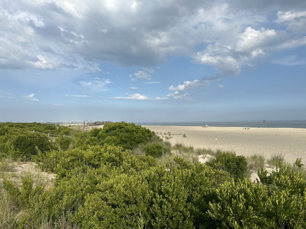 a landscape with bushes and trees (MyCoast AI)