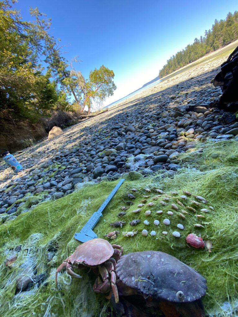 a rocky hillside with a stream (MyCoast AI)