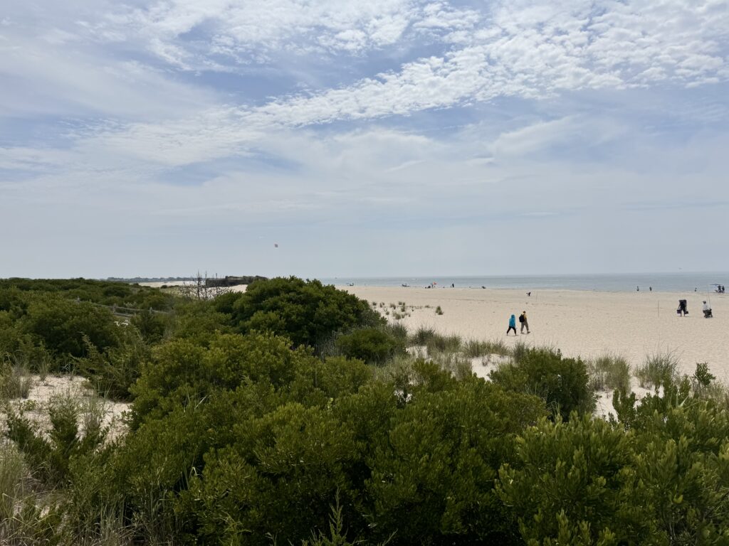 a group of people walking on a beach (MyCoast AI)