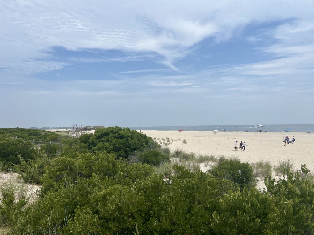a group of people walking on a beach (MyCoast AI)