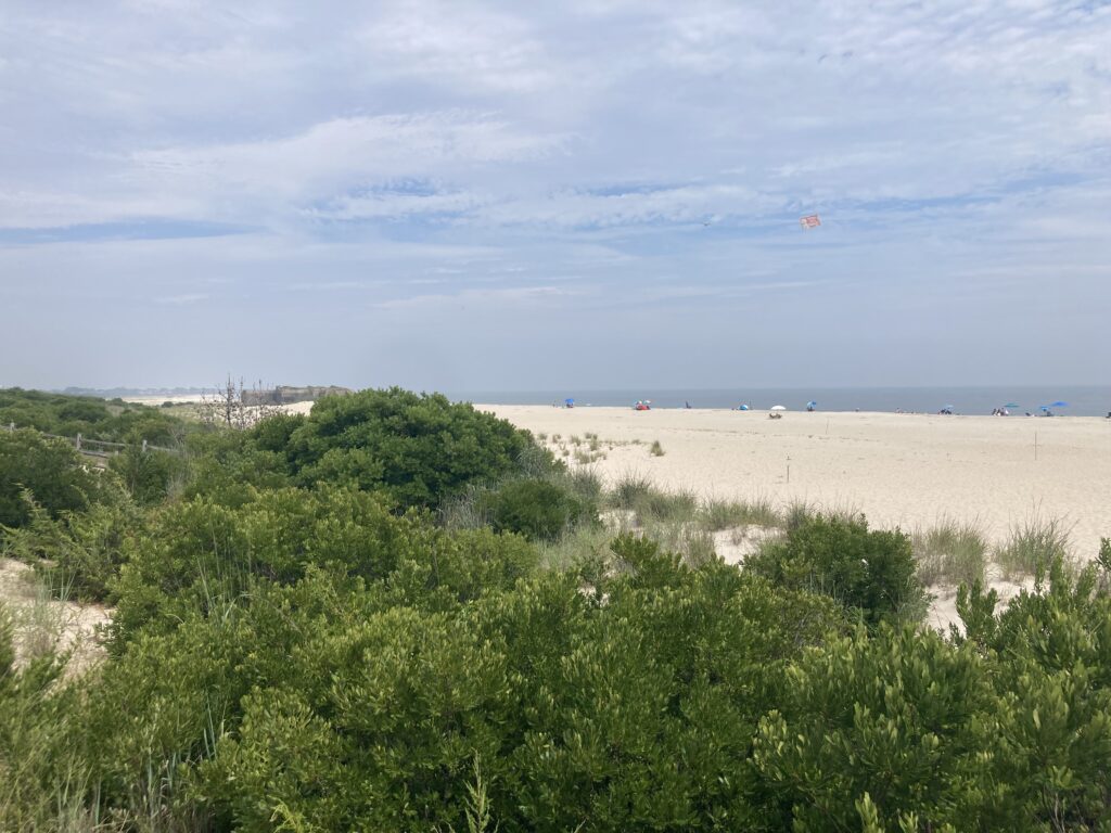a beach with bushes and trees (MyCoast AI)