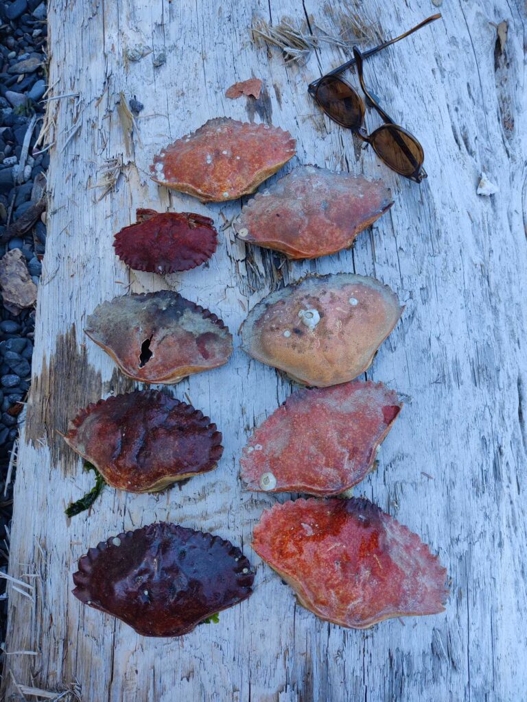 a group of red and white rocks (MyCoast AI)