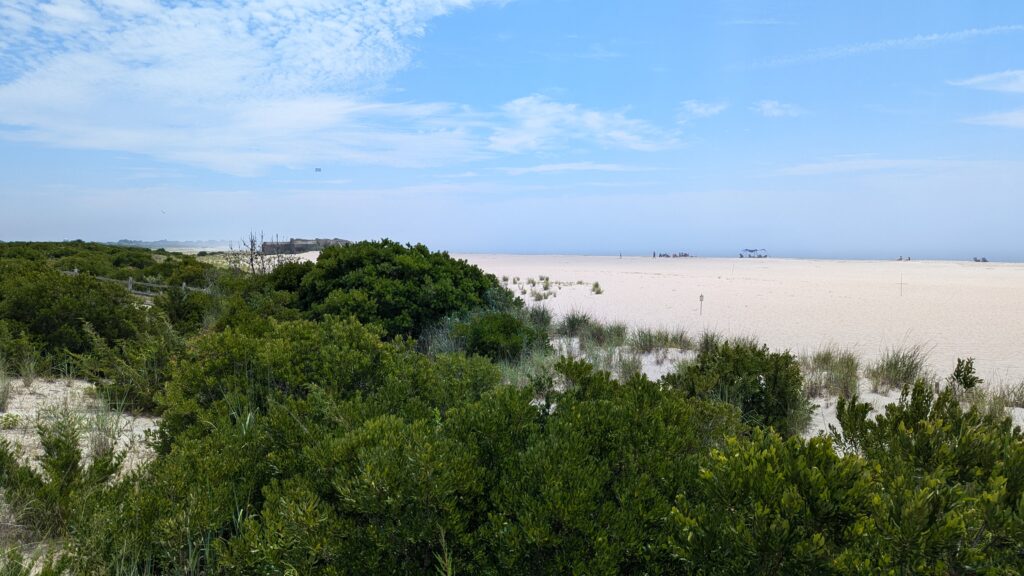a landscape with trees and bushes (MyCoast AI)