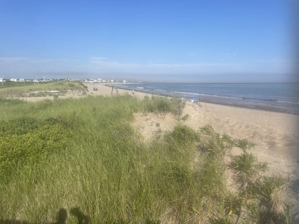 a grassy area next to a body of water (MyCoast AI)