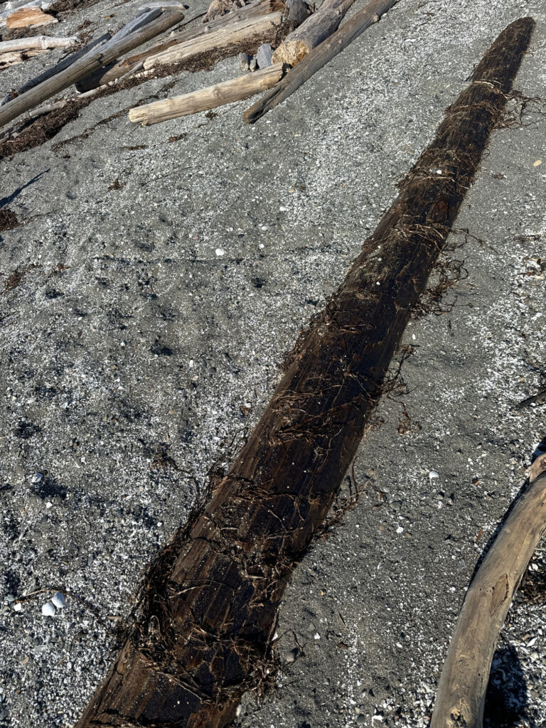 a close-up of a road (MyCoast AI)
