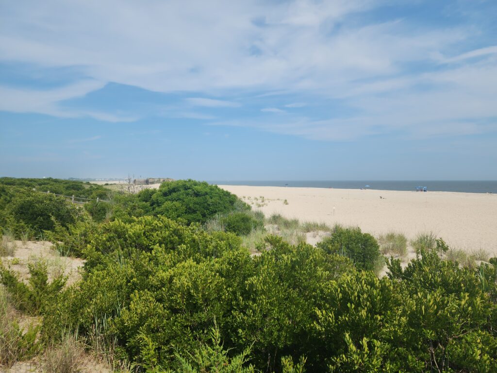 a beach with trees and bushes (MyCoast AI)