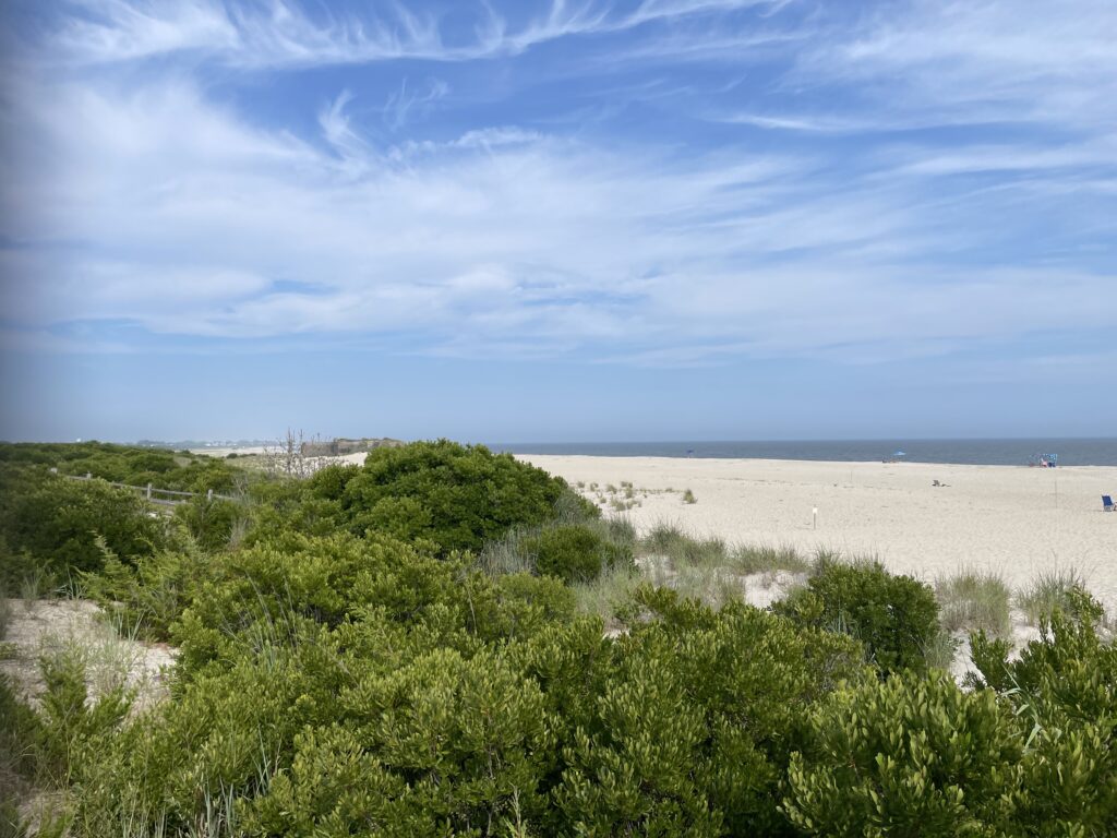 a sandy beach with bushes and trees (MyCoast AI)